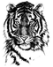 Tiger Tattoos PNG Image