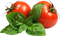 Tomato Download PNG