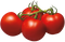 Tomato PNG Image