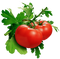 Tomato PNG Pic