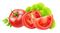 Tomato Transparent