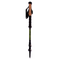 Trekking Pole PNG Image HD