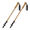 Trekking Pole PNG Picture