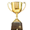 Trophy Award PNG Image