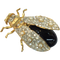 True Bug PNG File Download Free