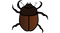 True Bug PNG Pic