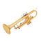 Trumpet Transparent