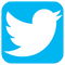 Twitter Download PNG