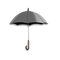 Umbrella Free Download PNG