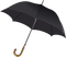 Umbrella PNG Pic