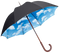 Umbrella PNG Picture