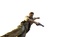 Uncharted PNG File