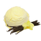 Vanilla Custard PNG Pic