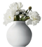 Vase Download PNG