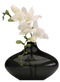 Vase PNG Image