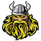 Viking PNG Image