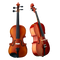 Violoncello Cello PNG Free Download