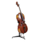 Violoncello Cello Transparent