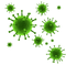 Virus Transparent