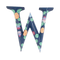 W Letter PNG