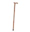 Walking Stick PNG Clipart