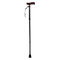 Walking Stick PNG HD Quality