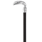 Walking Stick PNG High Quality Image