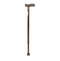 Walking Stick PNG Image File