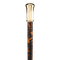 Walking Stick PNG Pic