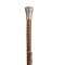 Walking Stick PNG Picture