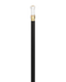 Walking Stick PNG