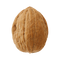 Walnut Free Download PNG