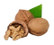 Walnut Oil PNG High Quality Image