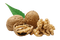 Walnut Oil PNG Image HD