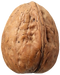 Walnut PNG Clipart