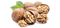 Walnut PNG File