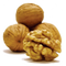 Walnut PNG Image