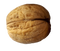 Walnut PNG Picture