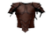 Warrior Armor PNG Image