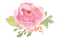 Watercolor Flower PNG Pic