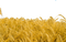 Wheat Field PNG Download Image