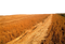 Wheat Field PNG Image HD