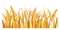 Wheat Field PNG Image