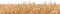 Wheat Field PNG Transparent HD Photo