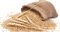 Wheat PNG HD Image