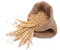 Wheat PNG Image File