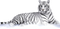 White Tiger Download PNG