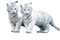 White Tiger PNG File