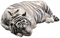 White Tiger PNG Image