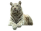 White Tiger PNG Pic